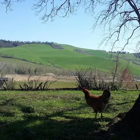 Molino Nuovo Διαμέρισμα Castel San Pietro Terme
