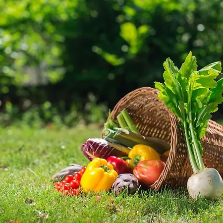 Διαμέρισμα Molino Nuovo *