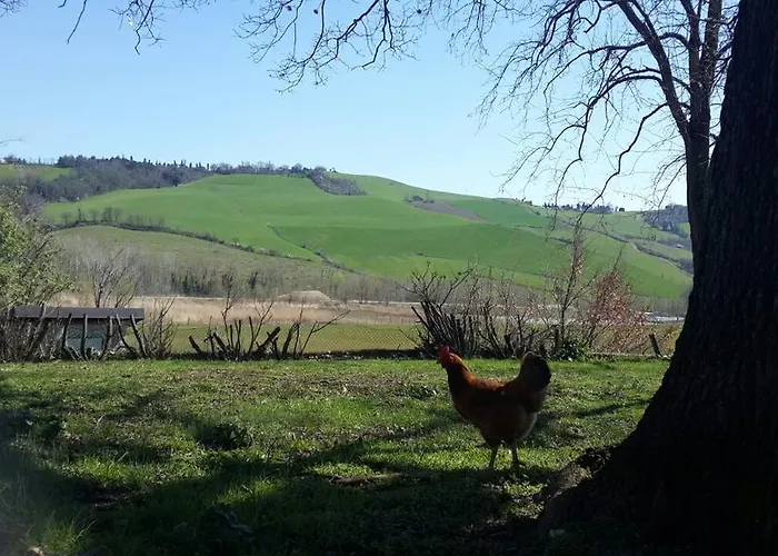 Molino Nuovo Apartament Castel San Pietro Terme