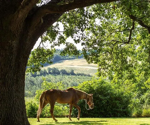 Apartmán Molino Nuovo Castel San Pietro Terme