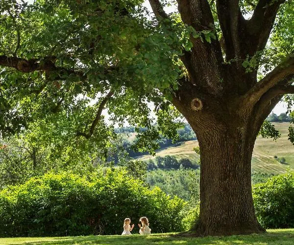 Apartament Molino Nuovo *