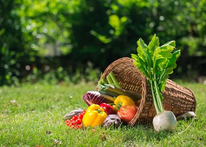 Apartament Molino Nuovo *